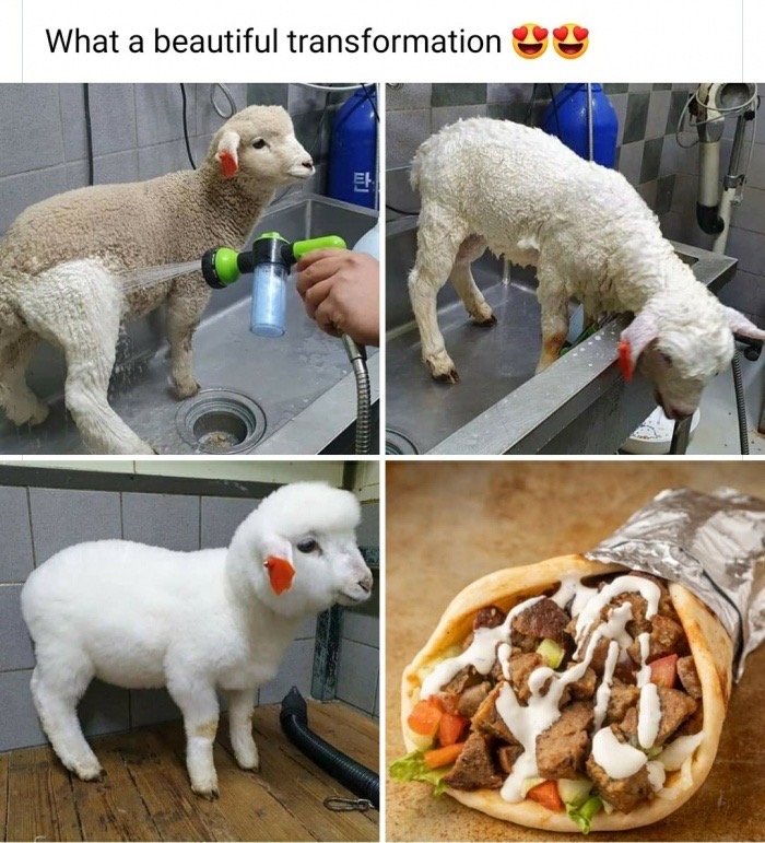 lamb gyro - What a beautiful transformation Uu