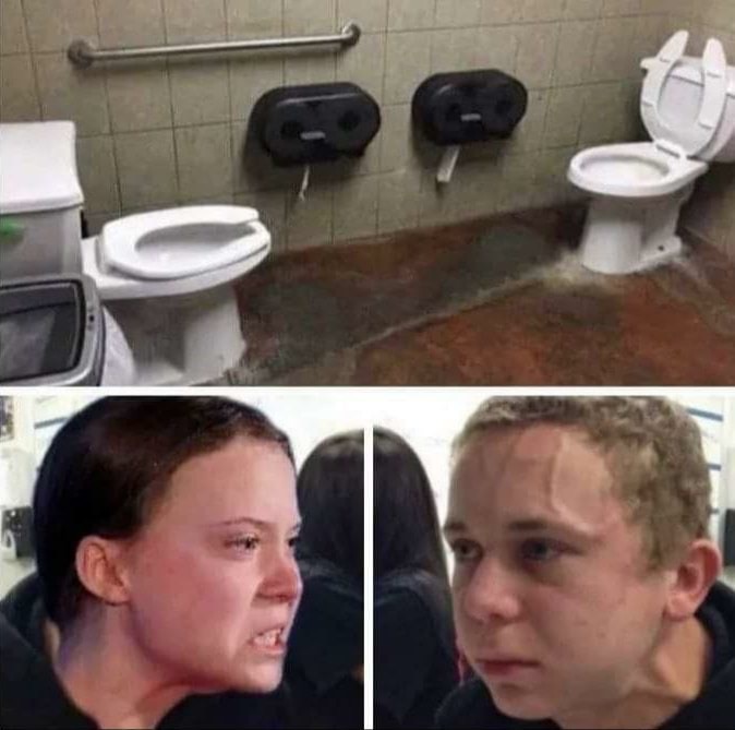 greta toilet meme