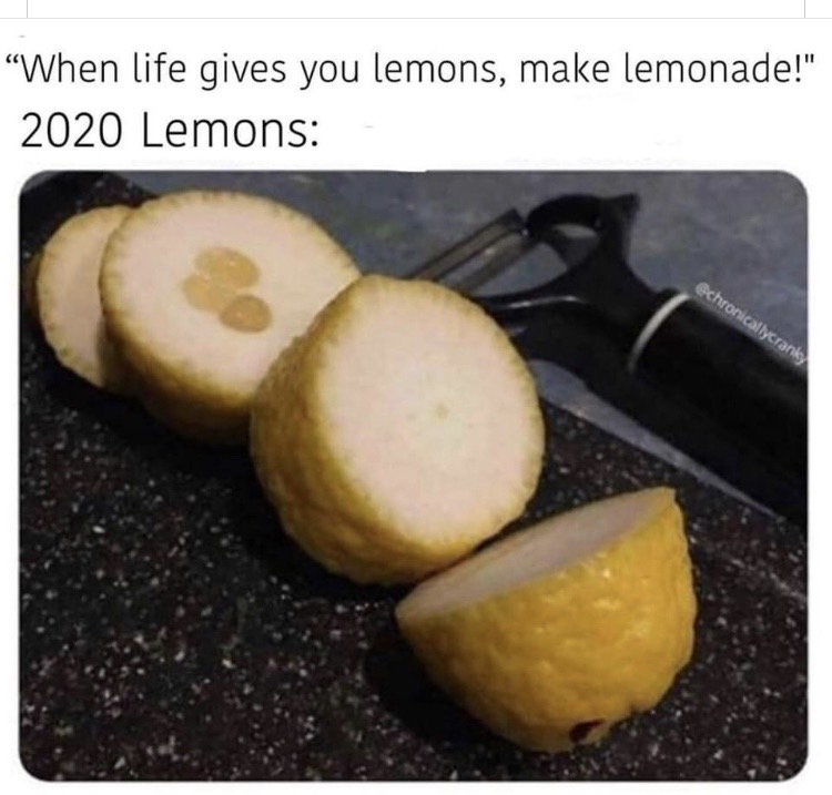 When life gives you lemons, make lemonade! 2020 lemons