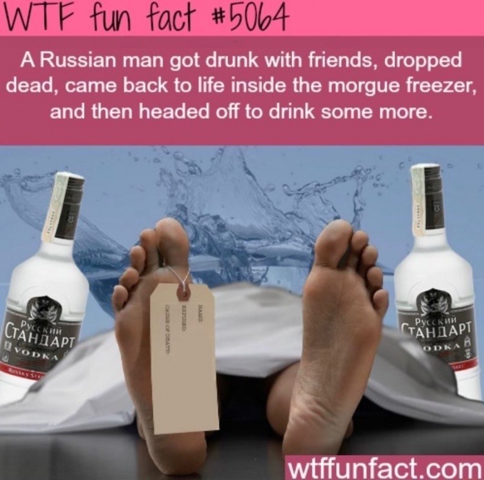 russia funny facts - Wtf fun fact A Russian man got drunk with friends, dropped dead, came back to life inside the morgue freezer, and then headed off to drink some more.