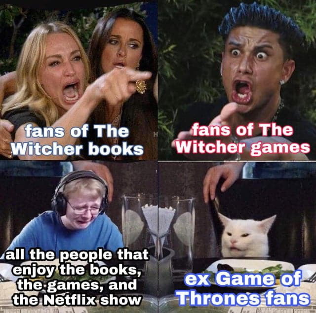witcher memes - fans of The Witcher books fans of The Witcher games all the people that enjoy the books, the games, and the Netflix show ex Game of a Thrones fans