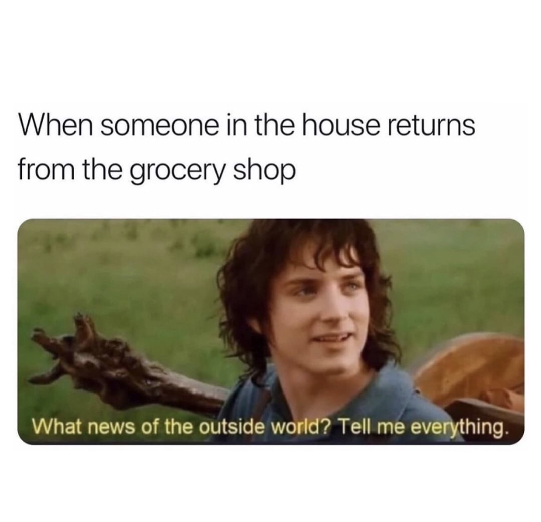 may 2020 meme - When someone in the house returns from the grocery shop What news of the outside world? Tell me everything.