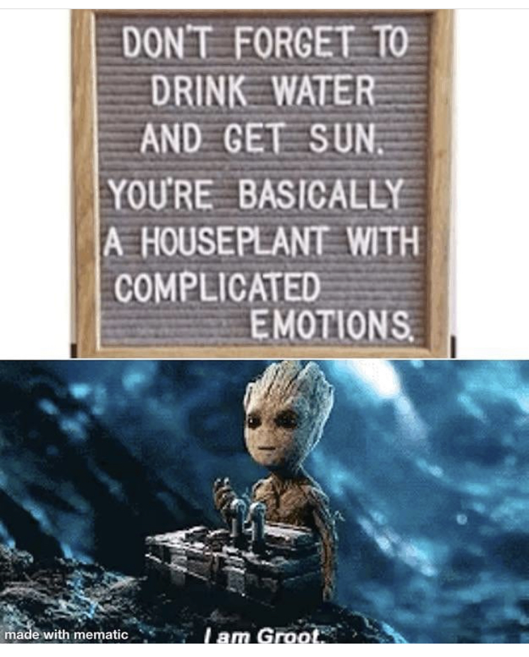 groot don t push the button gif - Don'T Forget To Drink Water And Cet Sun. You'Re Basically A House Plant With Complicated Emotions made with mematic Tam Groot