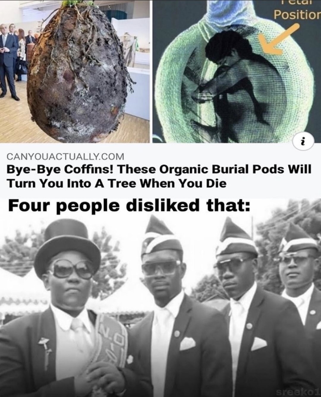 dancing pallbearers meme - Positior Canyouactually.Com ByeBye Coffins! These Organic Burial Pods Will Turn You Into A Tree When You Die Four people disd that sreeko1