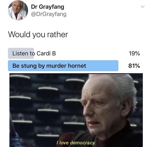 love democracy - Dr Grayfang Would you rather Listen to Cardi B 19% Be stung by murder hornet 81% I love democracy.