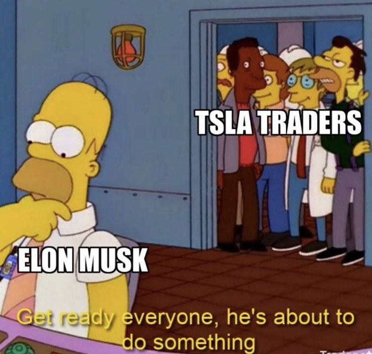 hes going to do something stupid - Tsla Traders Elon Musk Get ready everyone, he's about to do something