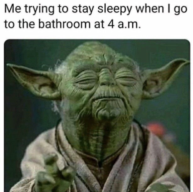 yoda funny - Me trying to stay sleepy when I go to the bathroom at 4 a.m.
