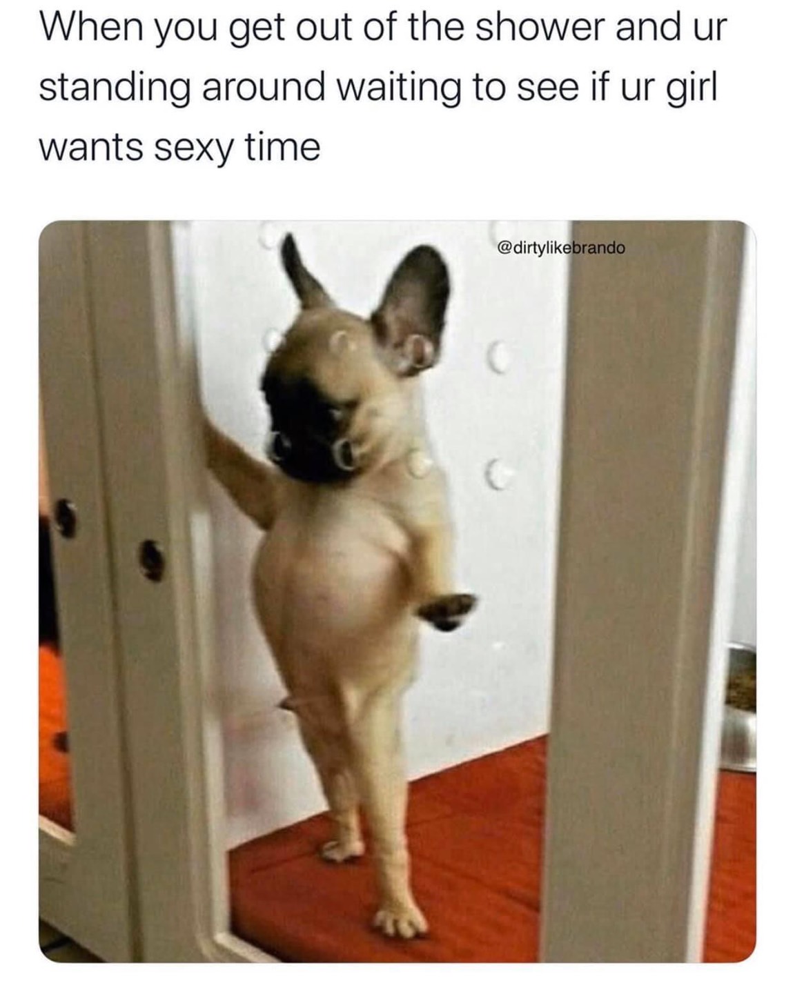 good evening funny - When you get out of the shower and ur standing around waiting to see if ur girl wants sexy time