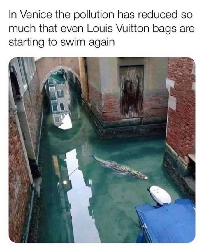 venice louis vuitton meme - In Venice the pollution has reduced so much that even Louis Vuitton bags are starting to swim again
