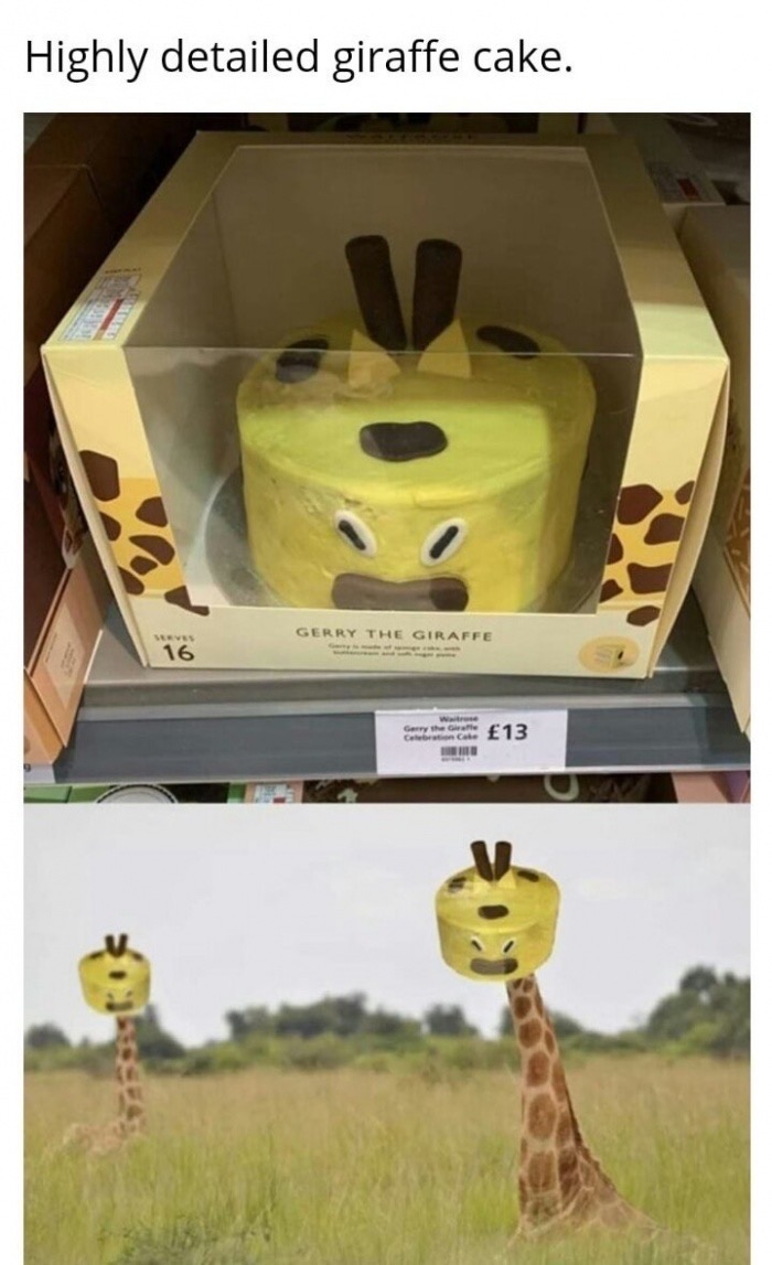 expectation versus reality giraffe lego head cake
