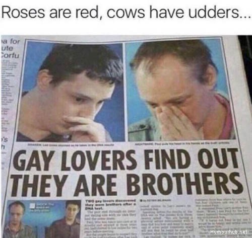 Roses are red, cows have udders... Gay Lovers Find Out They Are Brothers