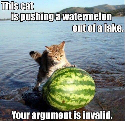 This cat is pushing a watermelon out of a lake. Your argument is invalid.