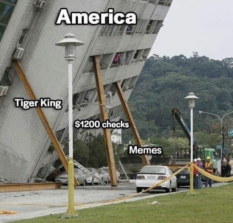 tiger king $1200 meme - America Tiger King $1200 checks Memes
