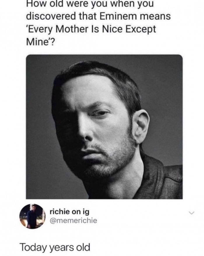 marshall mathers - How old were you when you discovered that Eminem means 'Every Mother Is Nice Except Mine'? richie on ig Today years old