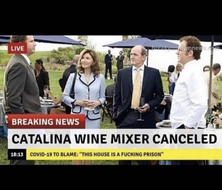 catalina wine mixer has been cancelled - Live budownney Breaking News Catalina Wine Mixer Canceled Covid19 To Blame "This House Is A Fucking Prison"
