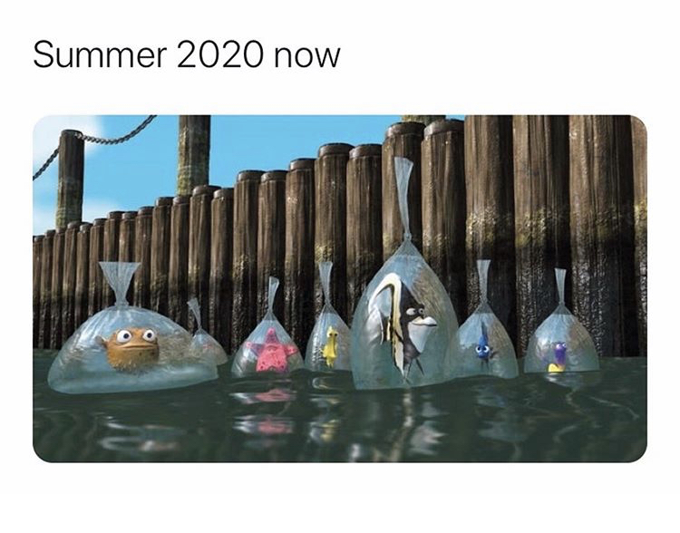 now what meme - Summer 2020 now
