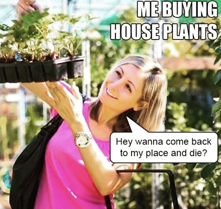 Garden centre - Me Buying House Plants Hey wanna come back to my place and die?