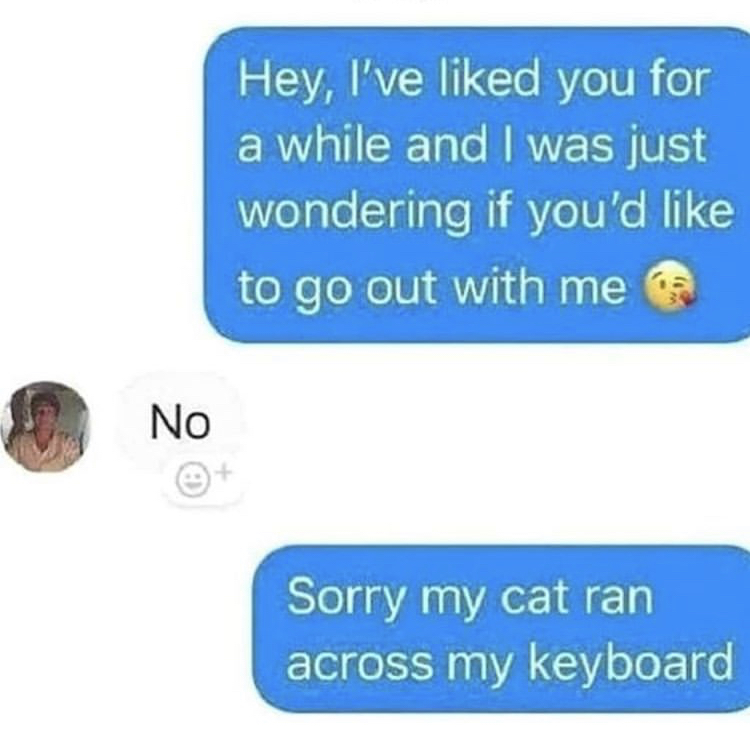 r oopsdidntmeanto - Hey, I've d you for a while and I was just wondering if you'd to go out with me No Sorry my cat ran across my keyboard