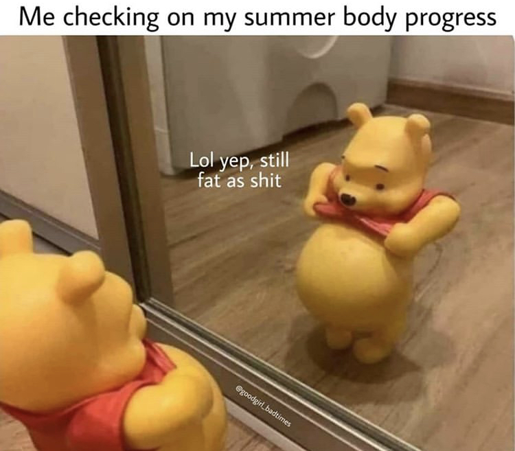 Me checking on my summer body progress Lol yep, still fat as shit