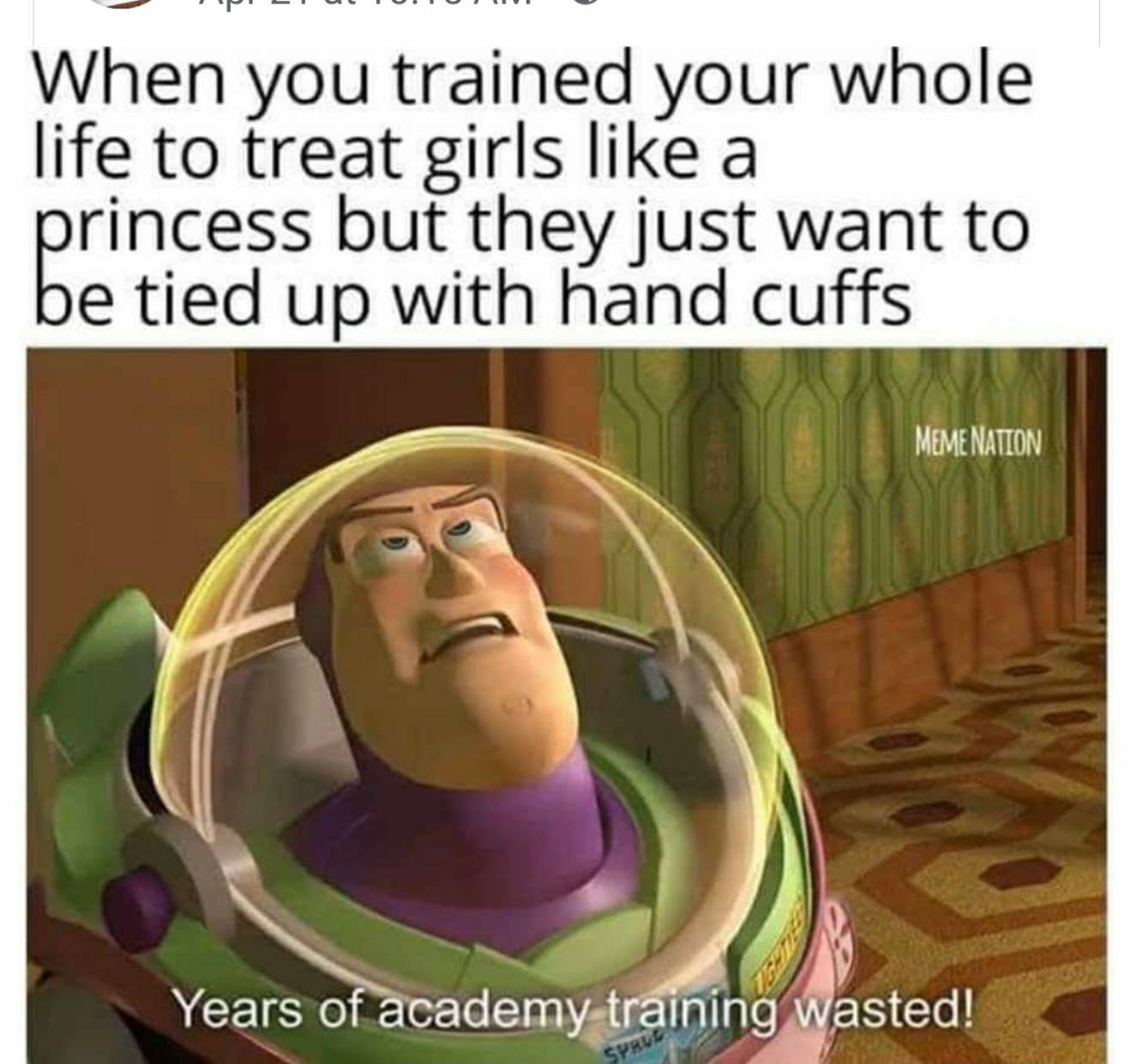vet nurse memes - When you trained your whole life to treat girls a princess but they just want to be tied up with hand cuffs Meme Nation Years of academy training wasted! Sprue
