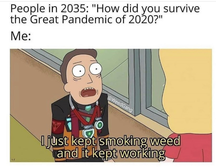 rick and morty i just kept crawling - People in 2035 "How did you survive the Great Pandemic of 2020?" Me I just kept smoking weed and it kept working