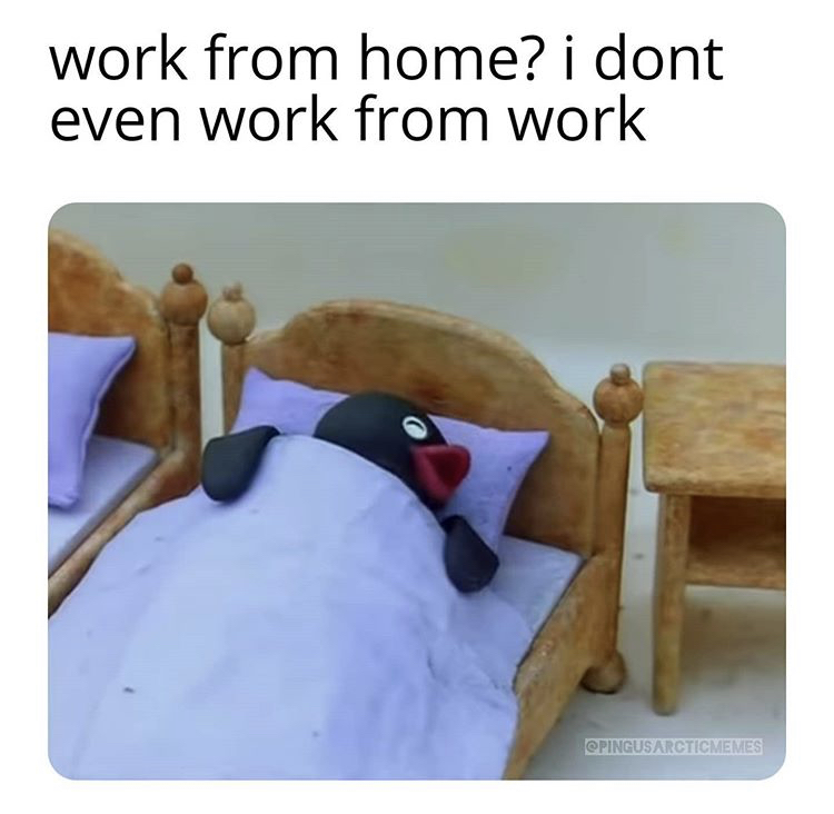 school memes memes - work from home? i dont even work from work Pingusarcticmemes