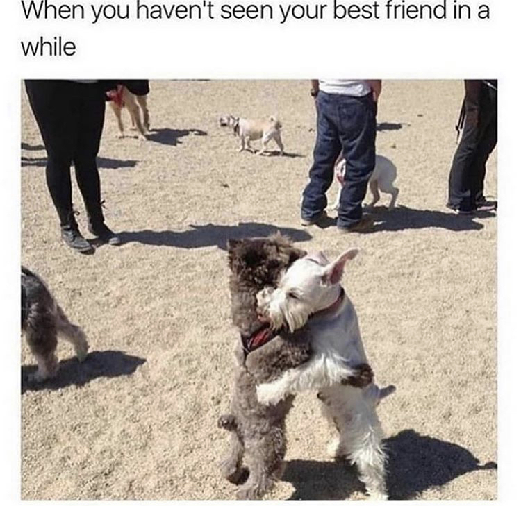 you haven t seen your friend - When you haven't seen your best friend in a while