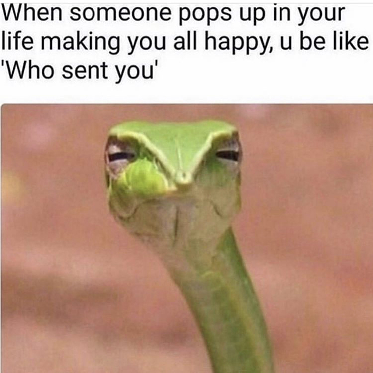 someone comes into your life meme - When someone pops up in your life making you all happy, u be 'Who sent you'