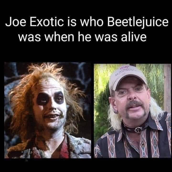 joe exotic memes - Joe Exotic is who Beetlejuice was when he was alive