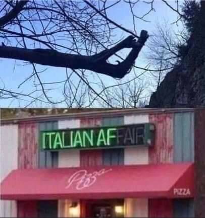 italian trees funny - Italian Affairs Pizza