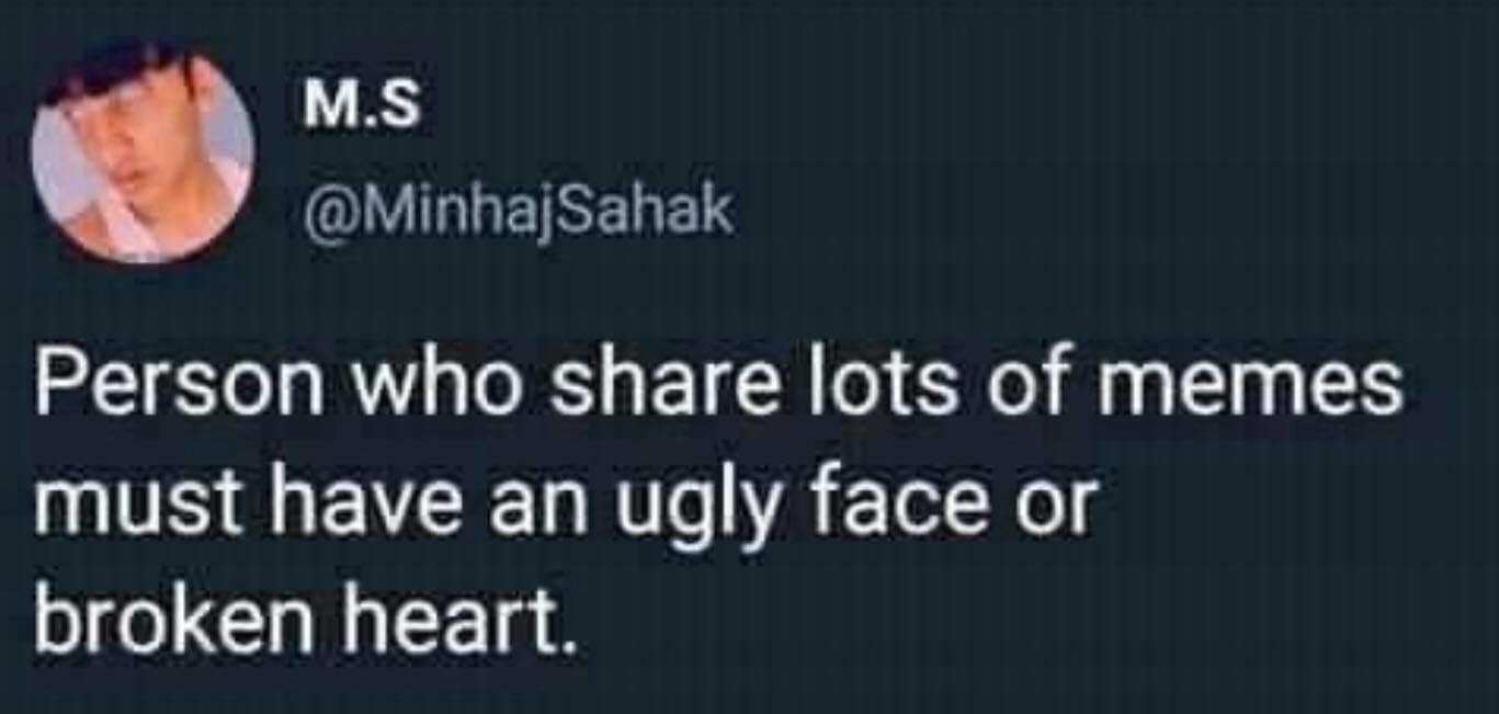 M.S Sahak Person who lots of memes must have an ugly face or broken heart.