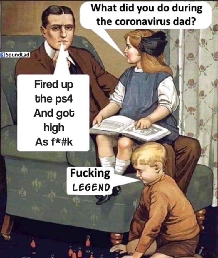 did you do during coronavirus meme - What did you do during the coronavirus dad? f SoundLad Fired up the ps4 And got high As f Fucking Legend