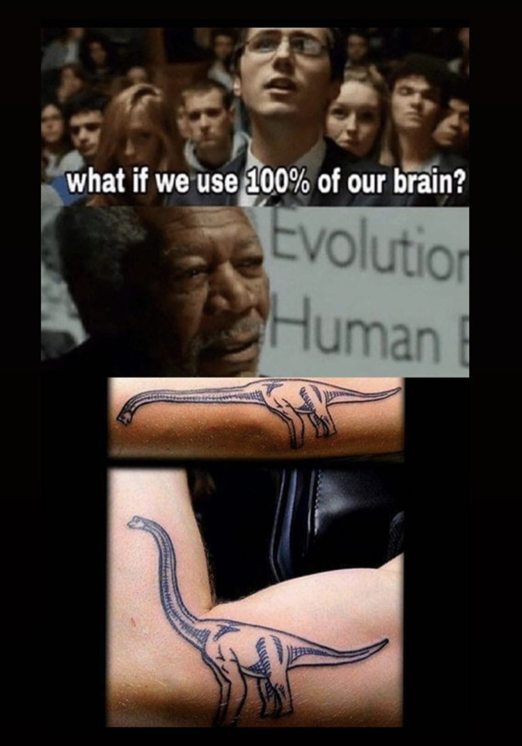 if we use 100 of our brain movie - what if we use 100% of our brain? Evolution Human