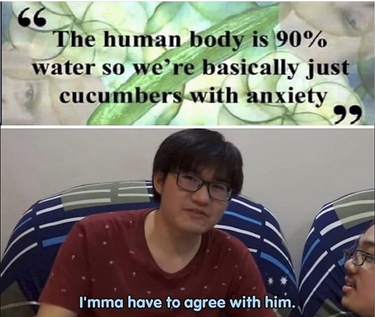anxiety - 66 The human body is 90% water so we're basically just cucumbers with anxiety 99 I'mma have to agree with him.