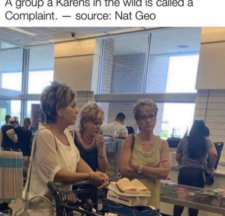 Internet meme - A group a Karens in the wild is called a Complaint. source Nat Geo