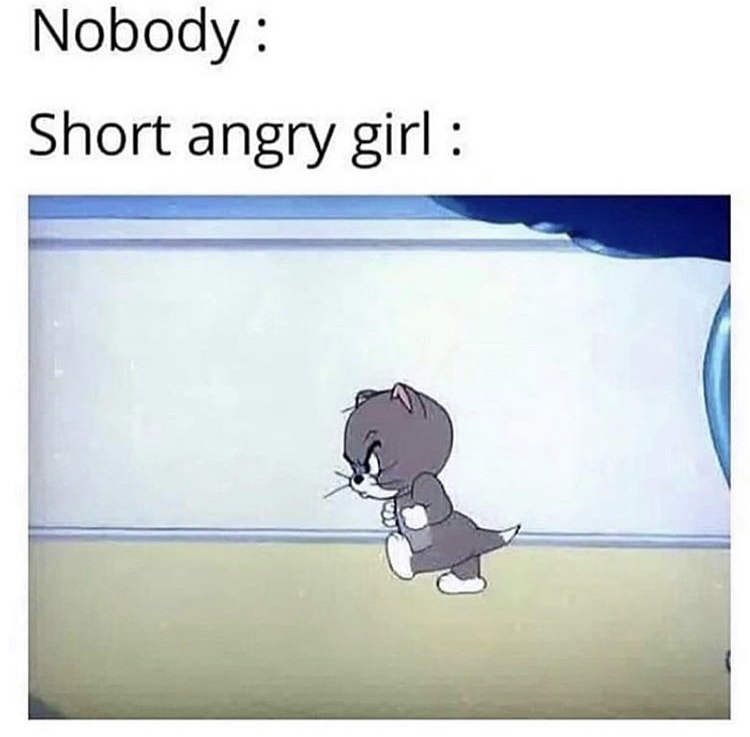 nobody short angry girl - Nobody Short angry girl