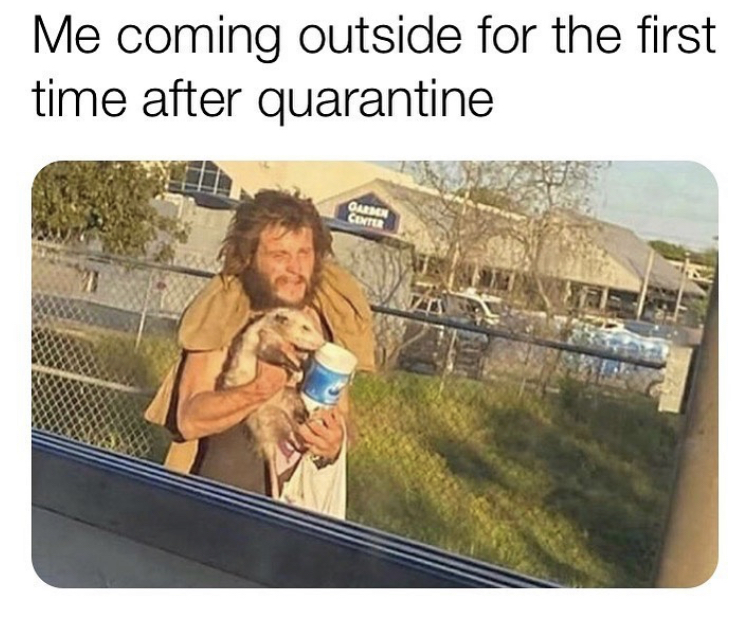 coming out of quarantine like - Me coming outside for the first time after quarantine Garden Center