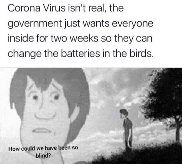 life is not daijoubu shaggy - Corona Virus isn't real, the government just wants everyone inside for two weeks so they can change the batteries in the birds. How could we have been so blind?