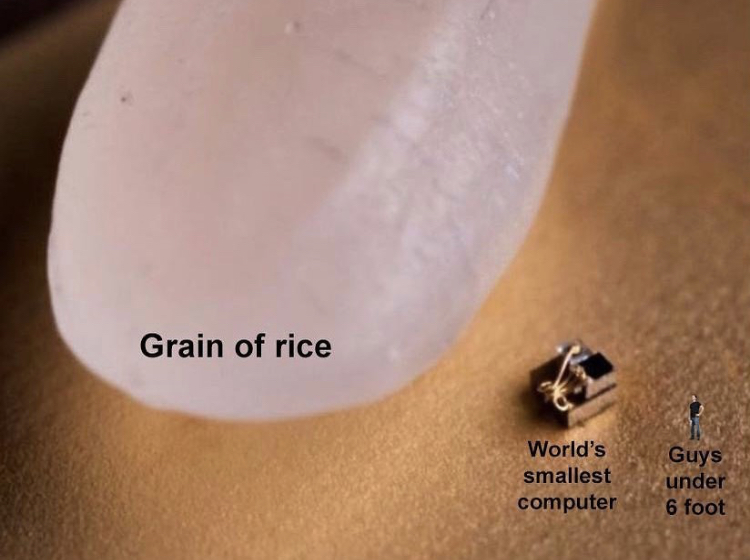 close up - Grain of rice World's smallest computer Guys under 6 foot