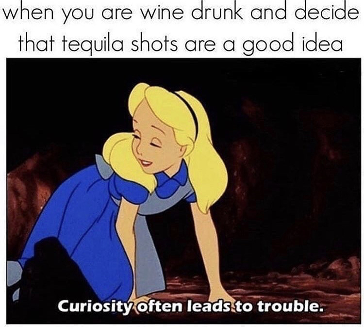 gemini aquarius gif - when you are wine drunk and decide that tequila shots are a good idea Curiosity often leads to trouble.