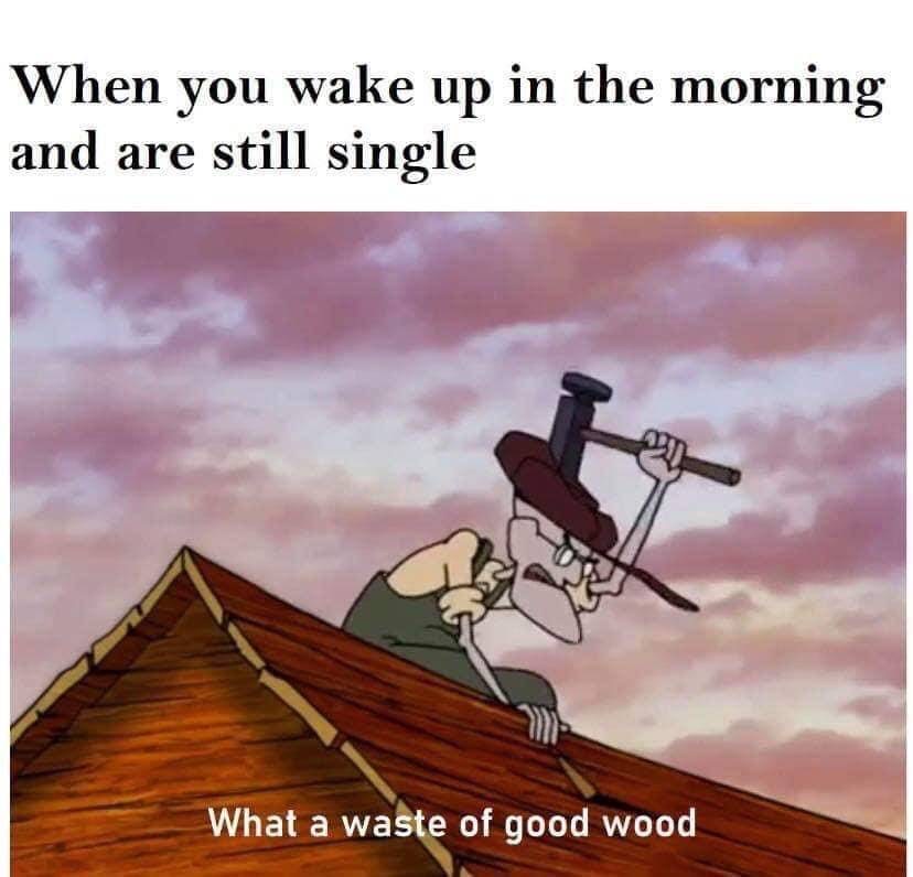 you wake up in the morning - When you wake up in the morning and are still single What a waste of good wood