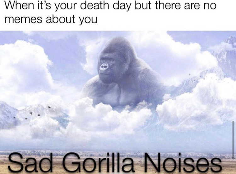 photo caption - When it's your death day but there are no memes about you Sad Gorilla Noises