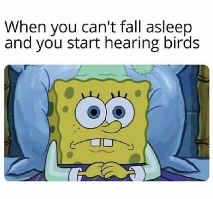 sleep after losing a spider - When you can't fall asleep and you start hearing birds C
