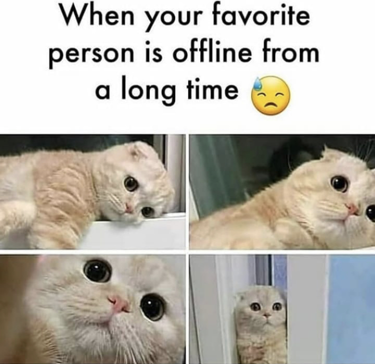 your favorite person is offline for long time - When your favorite person is offline from a long time