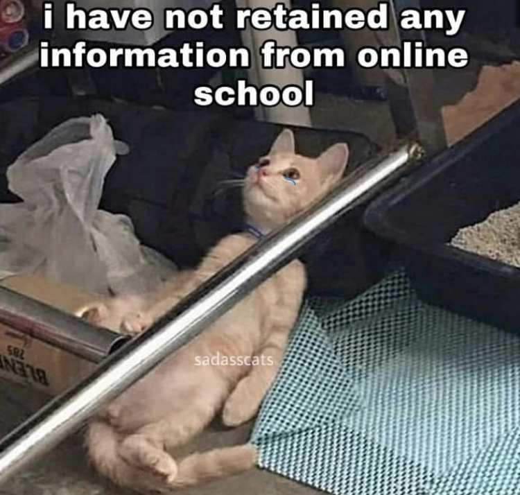 i have not retained any information from online school Srl sadasscats