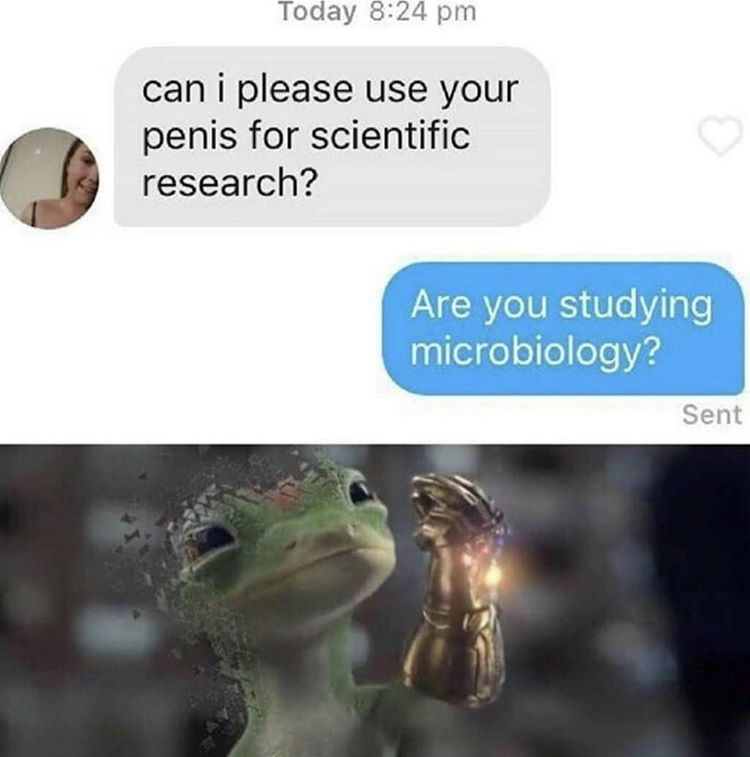 self destruct 100 - Today can i please use your penis for scientific research? Are you studying microbiology? Sent