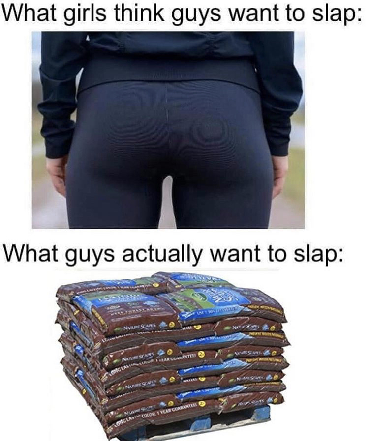 waist - What girls think guys want to slap What guys actually want to slap