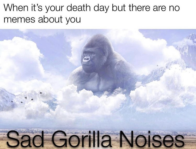 photo caption - When it's your death day but there are no memes about you Sad Gorilla Noises