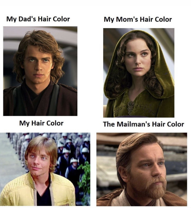 long hair - My Dad's Hair Color My Mom's Hair Color My Hair Color The Mailman's Hair Color