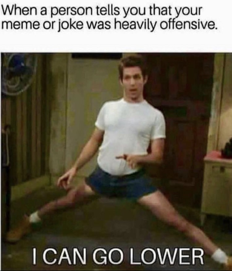 offensive memes - When a person tells you that your meme or joke was heavily offensive. I Can Go Lower